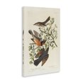 thumbnail image 4 of Stupell Industries Classic Audubon Bird Study Animals Painting Wrapped Canvas Art Print Wall Art, 24 x 36, 4 of 8