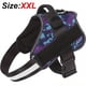 thumbnail image 1 of Keep Your Dog Safe and Comfortable with this Reflective No-Pull Dog Harness!, 1 of 5