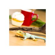 Safari Ltd. Collared Lizard Figurine - Realistic 7.25 Figure - Educational Toy for Boys, Girls, and Kids Ages 3+