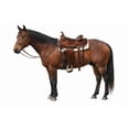 thumbnail image 5 of 5" wide Horse Western Saddle Rawhide Leather Covered Angled Roper Stirrups 51174, 5 of 5