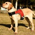 thumbnail image 3 of Suministros de viaje para mascotas, correa para el pecho para perros, ropa para caminar al aire libre en el pecho y en la espalda, 3 of 5
