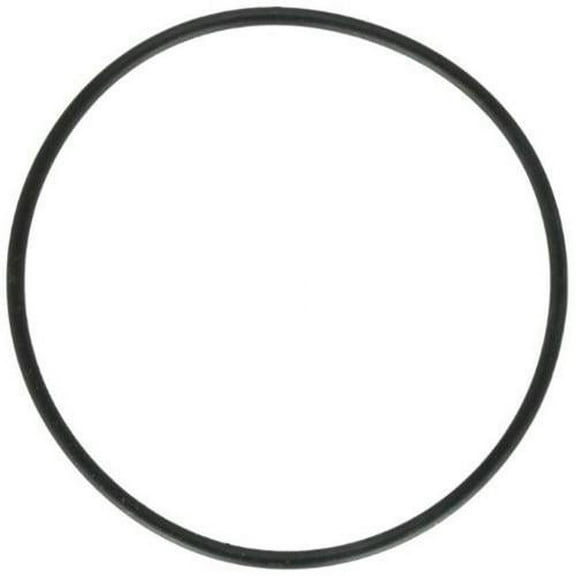 Jandy Zodiac 1132  Valve Cover O-Ring