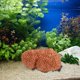 thumbnail image 4 of YSNOOWE Adorno De Coral Para Acuario De Resina Para Y Duradero, 4 of 7