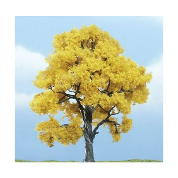 Premium Trees - Fall Beech (4") New