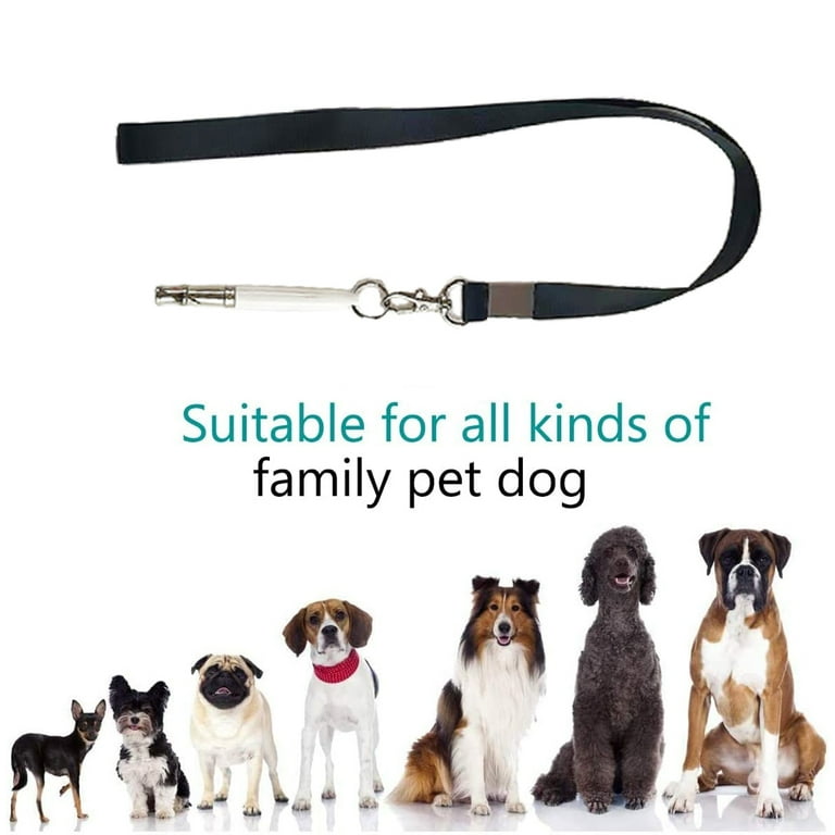 High pitch dog collar cheap
