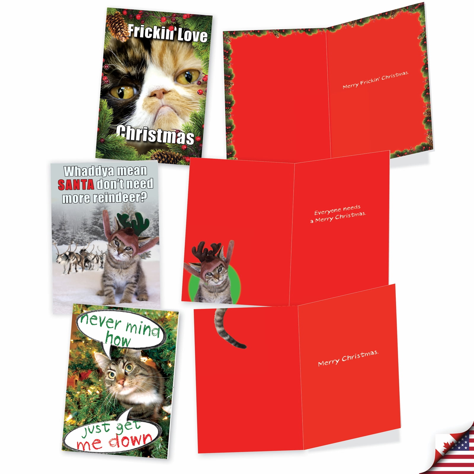 NobleWorks 20 Assorted Box Set Funny Christmas Greeting Cards w/5 x 7 Inch Envelopes (10 Designs, 2 Each) Cat-Mass Cards AC1254XSG-B2x10