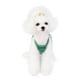 thumbnail image 4 of Chaleco De Algodón A Rayas Para Perros, Ropa Para Mascotas, Chaleco Suave Transpirable Para Mascotas, Disfraz, Camiseta Para Cachorros, Disfraces Vogacara PT002647-05, 4 of 6