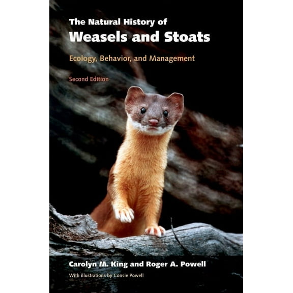 The Natural History of Weasels and Stoats, (Paperback)