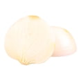 thumbnail image 4 of Cebolla Blanca en Malla 1 kg, 4 of 5