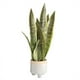 thumbnail image 2 of Yuarrent Planta degradable amigable con las mascotas con bajo mantenimiento para sala de estar Balcón Apariencia realista Elegancia sin riego Decoración 3 hojas, 59 CM C 59 CM X, 2 of 6