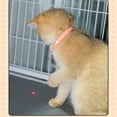 thumbnail image 5 of Gumesh USB Rechargeable Smart Cat Collar - Cat Laser Pointer Toy Collar with Automatic Motion, 5 of 7