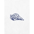 thumbnail image 2 of Phillip, Jamie 15x18 White Modern Wood Framed Museum Art Print Titled - Indigo Shell 1, 2 of 4