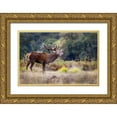 thumbnail image 1 of Redaelli, Marco 18x13 Gold Ornate Wood Framed with Double Matting Museum Art Print Titled - The scream of the deer, 1 of 4