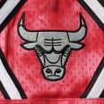 thumbnail image 3 of Men's Mitchell & Ness Red Chicago Bulls Hardwood Classics 1997 Galaxy Swingman Shorts, 3 of 4