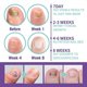 thumbnail image 5 of Jaysuing Gray Nail Repair Spray Hand And Foot Nail Soft Nail Yellow Endogenous Nail Thickening Cleaning Care - 100ml, 5 of 5
