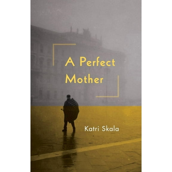 A Perfect Mother, (Paperback)
