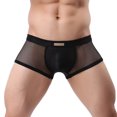 thumbnail image 2 of Penkiiy Mens Underwear Boxer Briefs Men Casual Solid Sexy Low Waist Mesh Breathable Erotic Panties Black Underwear, 2 of 4