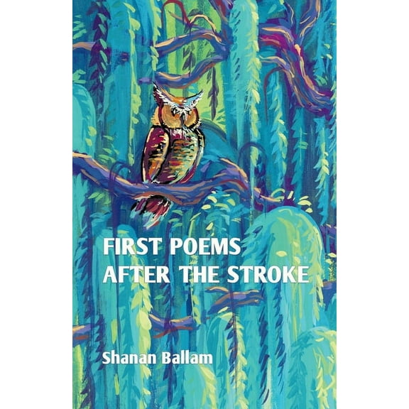 first poems after the stroke, (Paperback)