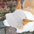 thumbnail image 5 of cyan Dog Sun Hat for Outdoor Travel Camping, 5 of 5
