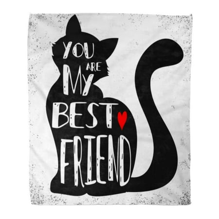 ASHLEIGH Throw Blanket Warm Cozy Print Flannel Cat Silhouette and Phrase You are My Best Friend Inspirational Lettering Pet Comfortable Soft for Bed Sofa and Couch 58x80 (Best Sofa For Cats)