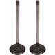 thumbnail image 1 of Kit 2 Válvulas De Escape OEM F-150 V8 6.2l de 2010 a 2014 Ford Original, 1 of 6