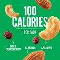thumbnail image 3 of (4 pack) Emerald Nuts Cashews & Almonds with Dried Cranberries, 100 Calorie Packs, 10 Ct, 3 of 8
