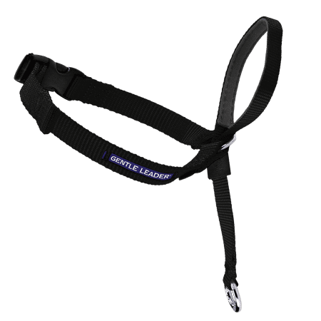 PetSafe Gentle Leader Headcollar, No-Pull Dog Collar, Medium, (Best Dog Collar For Pulling)