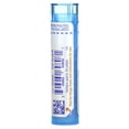 thumbnail image 4 of Boiron Spongia Tosta 6C, Homeopathic Medicine for Cough Relief, 80 Pellets, 4 of 6