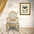 thumbnail image 3 of Vision Studio 12x14 Gold Ornate Wood Framed with Double Matting Museum Art Print Titled - Specimen of Natural Beauty I, 3 of 4