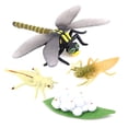 thumbnail image 1 of Life Cycle of A Dragonfly Insects Life Cycles Growth Model Children Animal Growth Cycle Science Educational Toys, 1 of 6