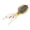 Black, variant on NFTIGB Premium Soft Squid Fishing Lure for Saltwater Sea Fishing Simulation Octopus Bait with Iron Hook Lifelike Artificial Swimbait - Orange 8.27 in / 21 cm