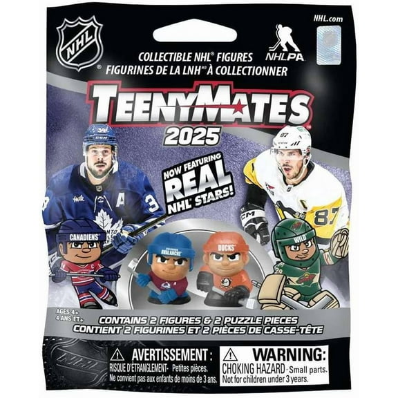NHL TeenyMates 2025 Hockey Mystery Pack (2 RANDOM Figures)