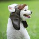 thumbnail image 3 of Otoño Invierno lindo mascota aviador gorra disfraz Cosplay sombrero de piloto a prueba de viento para perros pequeños medianos grandes S-xxl, 3 of 4