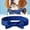 BU1, variant on IUAMXWU Cotton Canvas Bow Tie - Teal S Adjustable for Dogs & Cats Party
