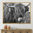 thumbnail image 2 of Close Up Of Scottish Cow On Moorland II 20 in x 12 in Framed Photography Canvas Art Print, by Designart, 2 of 5