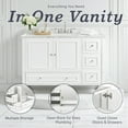 thumbnail image 5 of Alaterre Furniture 48in Wood Bathroom Vanity with Soft-Close Doors, White, 5 of 8
