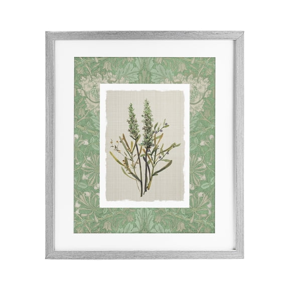 Stupell Industries Traditional Antique Foliage in Green Gray Framed Print Under Glass, 13 x 16, by Carol Robinson