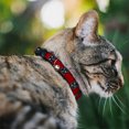 thumbnail image 2 of Buckle-Down Breakaway Cat Collar With Bell, Plastic Clip, Easy Adjustable, Tennessee Flag Stars Close Up Distressed, 8.5 to 12 Inches 0.5 Inch Wide, 2 of 4