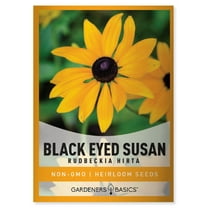 Black Eyed Susan Seeds