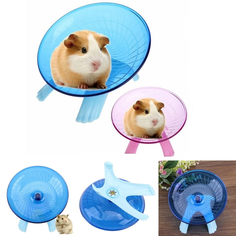 guinea pig running wheel