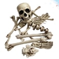 thumbnail image 2 of 19 piezas de accesorios de esqueleto para decoraciones de Halloween., 2 of 3