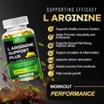Aelona Plus LArginine 3000mg Workout Heart Support LCitruline Muscle