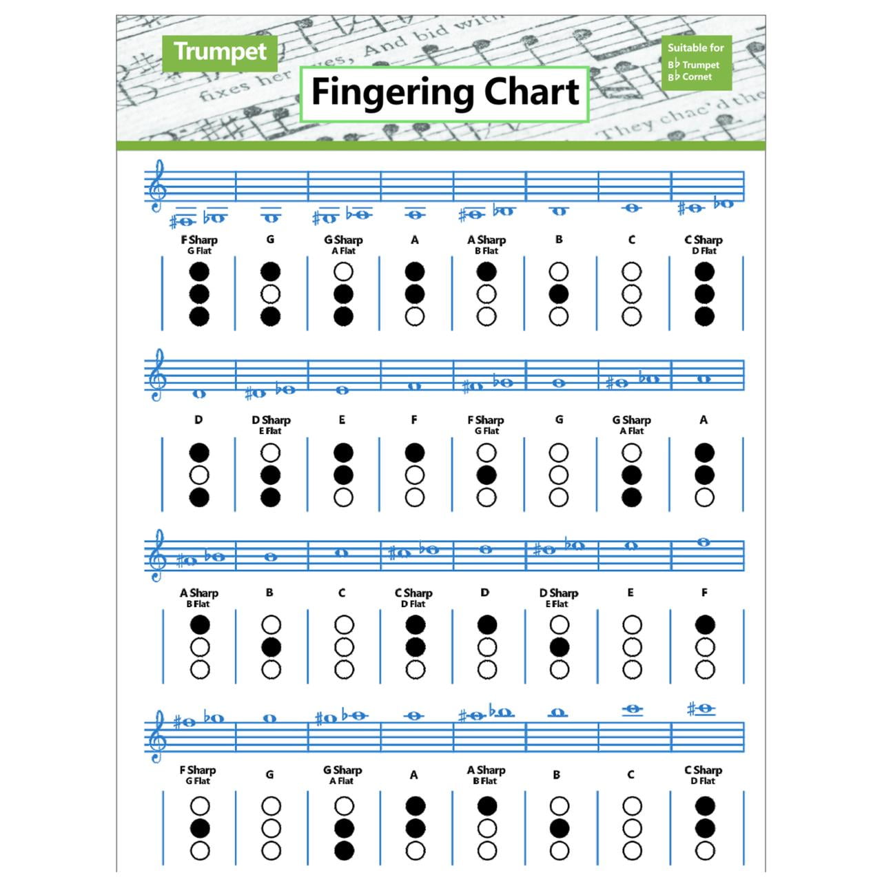 B Flat Trumpet Chart