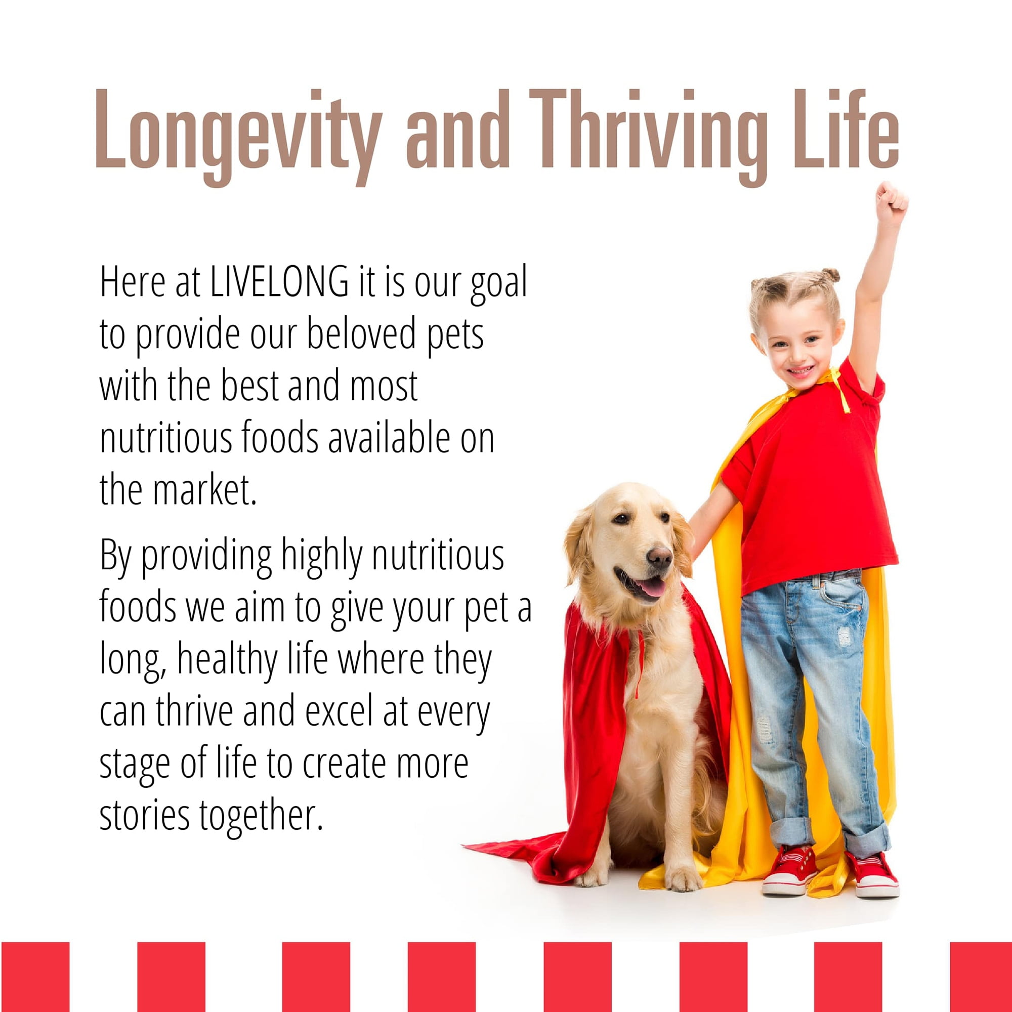 Livelong Healthy & Strong: 12 Pack: Pork & Sweet Potato Recipe - 12.5oz Cans, Wet Dog Food, High Protein, All Natural, No Preservatives,