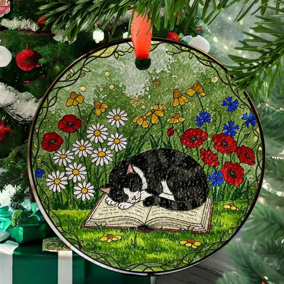 Cat and Book Glass Suncatcher Gift for Cat Mom and Book Lover , Tuxedo Cat Garden Window Art Mother's Day Gift for Readers, Ornament 2025, Holiday Decoration, 2025, Festive Home