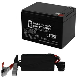 Fisher price 12v battery walmart sale