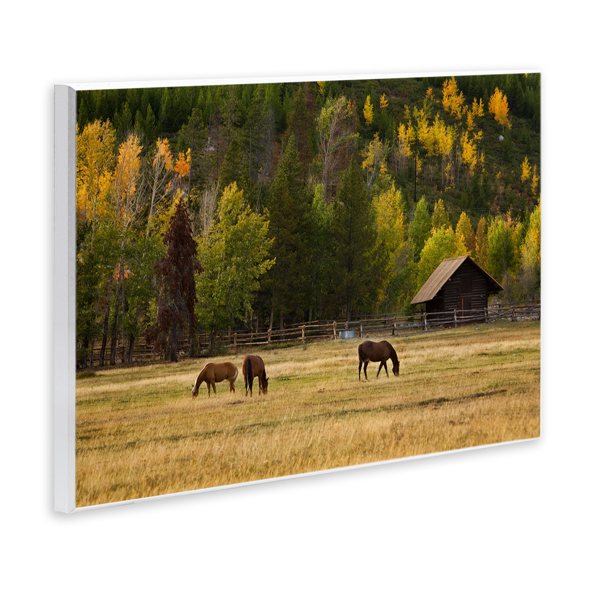 Stupell Industries Horses In Jackson Hole Wall Plaque Art, design by Scott Stulberg