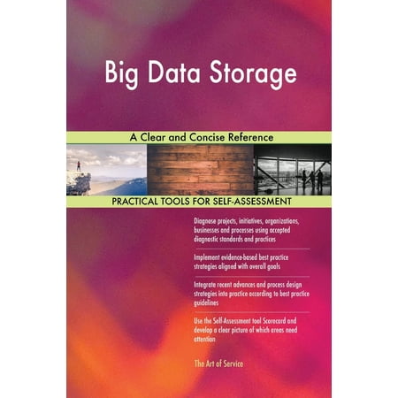 Big Data Storage A Clear and Concise Reference (Best Way To Store Big Data)