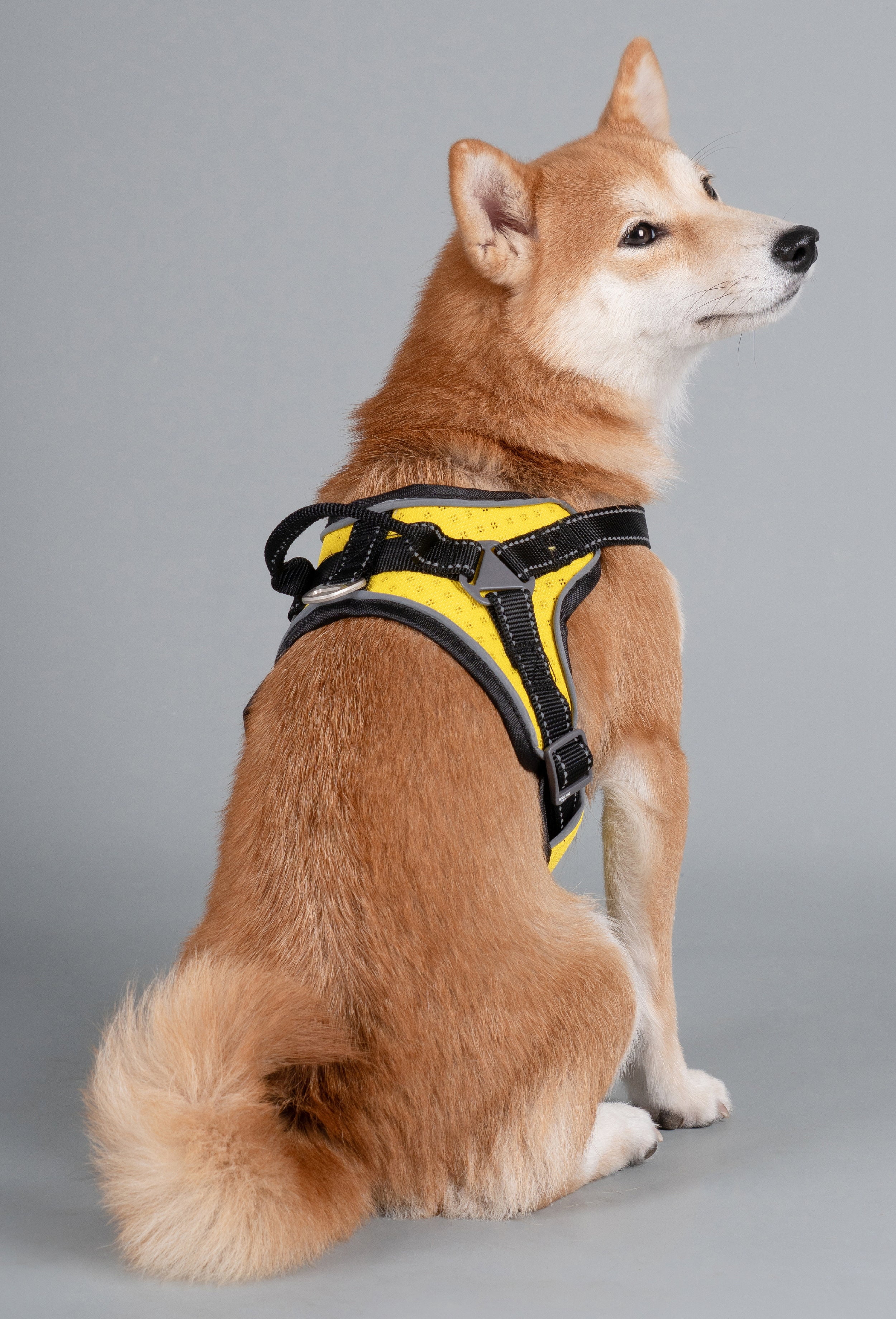 Dog Helios Stainless Steel, Nylon, Polyester, Fleece & Mesh Scorpion Walking Dog & Cat Harness, Yellow, M (20.5" to 23.6" Chest Size)