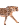 thumbnail image 4 of Juguete educativo realista de la ciencia y de la naturaleza del niño de la Sunnimix  Juguete animal de la estatuilla, 4 of 6